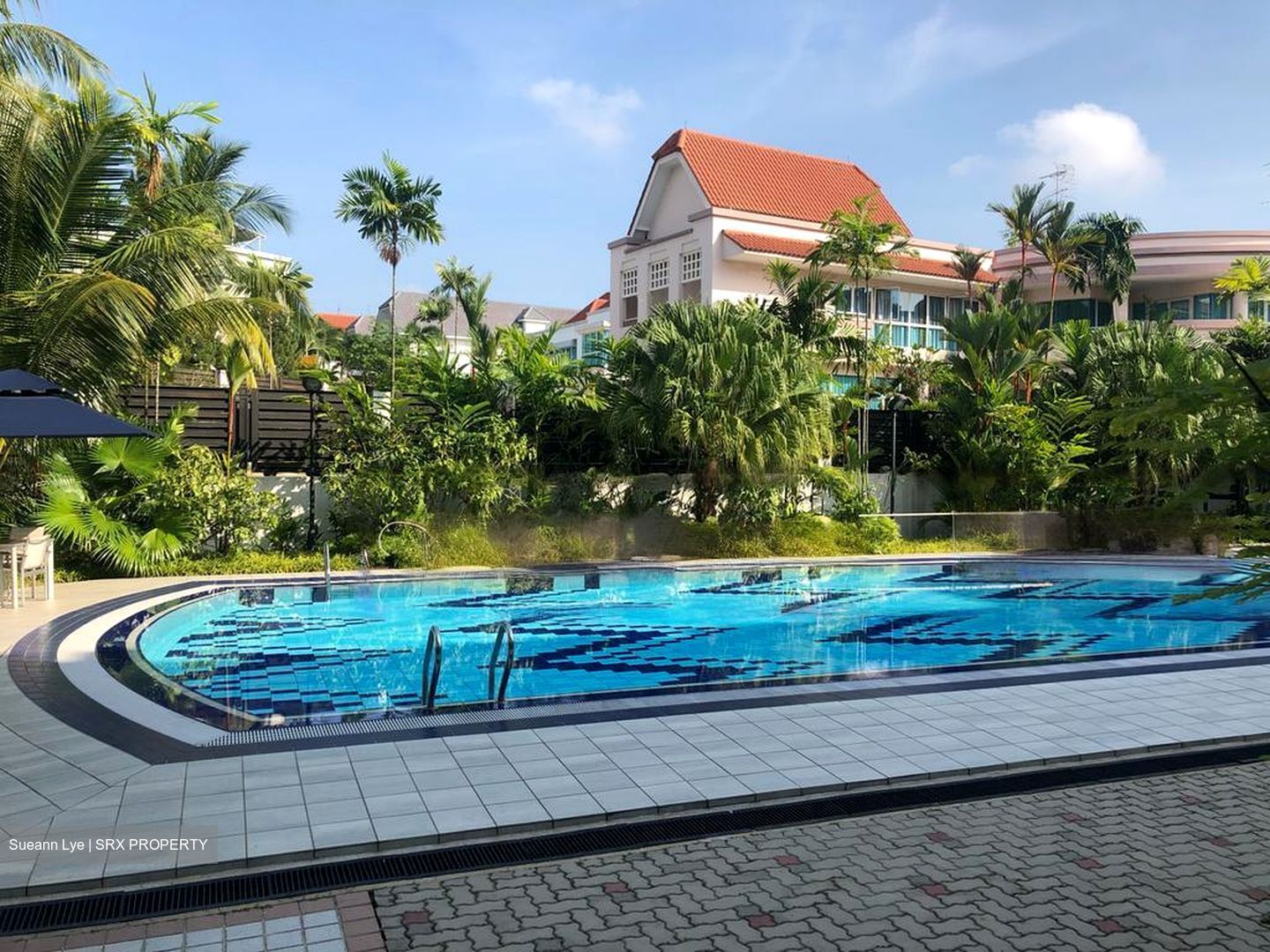 Tanglin Hill Meadows (D10), Condominium #462070341